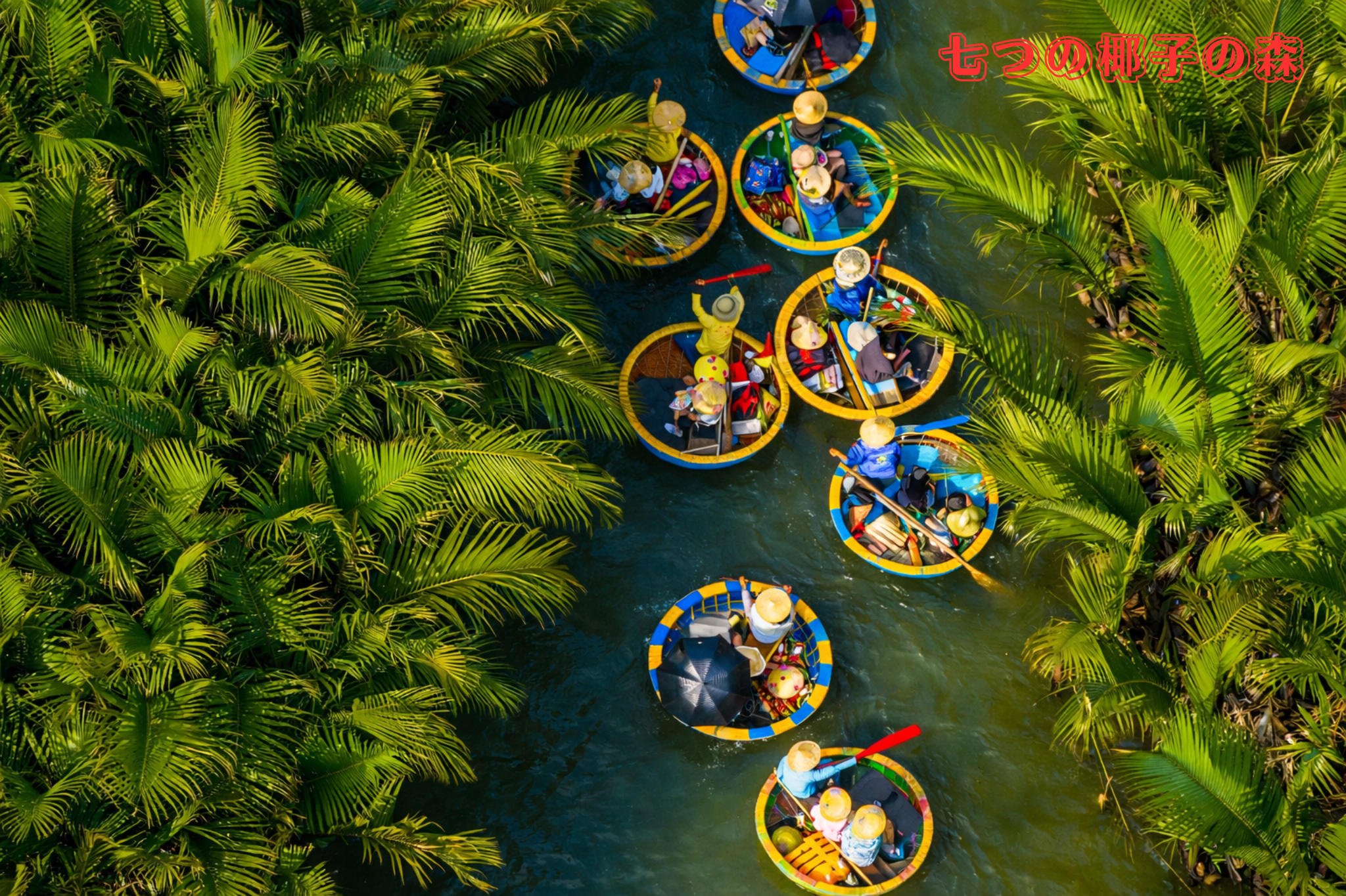 Rừng dừa 7 mẫu